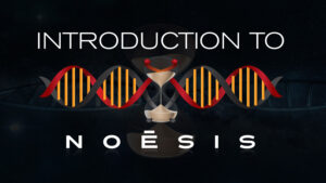 introduction to noesis